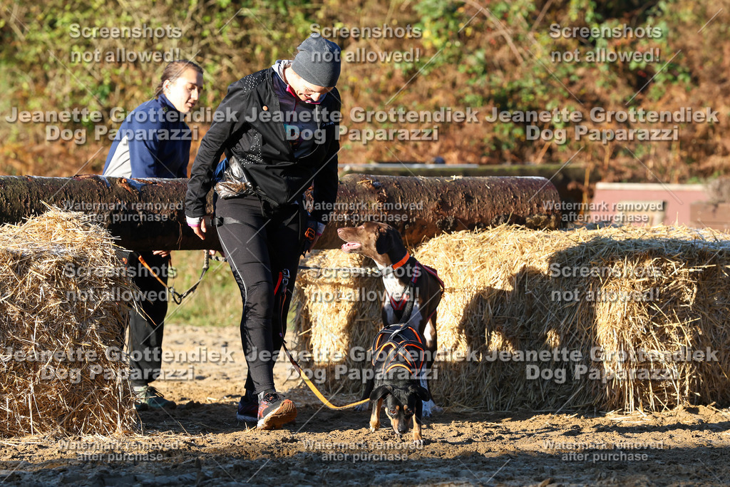 Dog Paparazzi - Strongdog 10-25-915 | Dog Paparazzi Jeanette Grottendiek Fotografie & Videografie - Realisiert mit Pictrs.com