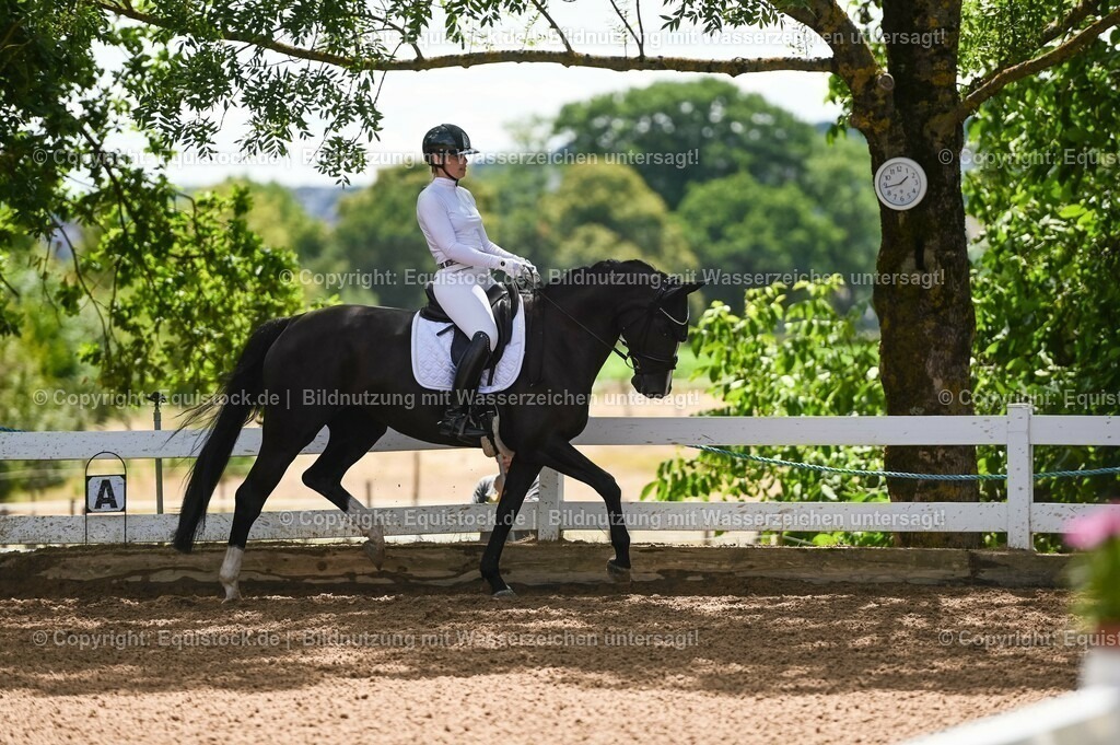 20230716_03_Dressurprfg. Kl.L - Tr._0051 | equistock