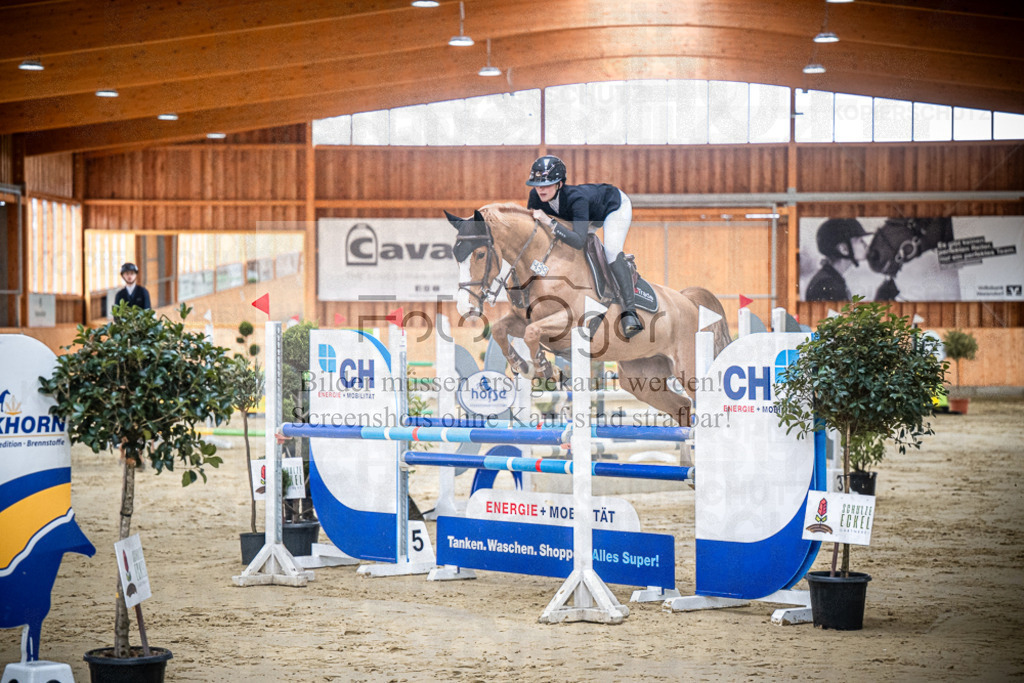 DOS_0255 | Entdecke hochwertige Reitturnierfotos von Foto Oger. Professionell, emotional und authentisch – jetzt Lieblingsmomente im Shop bestellen.Deutschlandweite Turnierfotografie. - Realisiert mit Pictrs.com