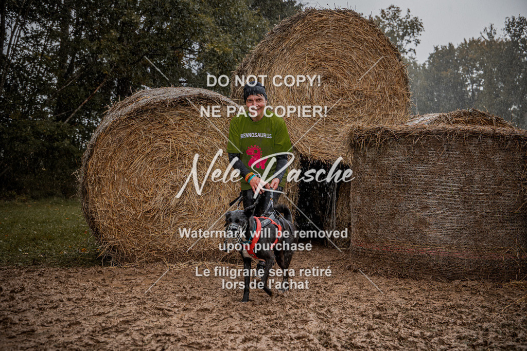 nelerasche_Hunsrück_So12-13_174 | nelerasche