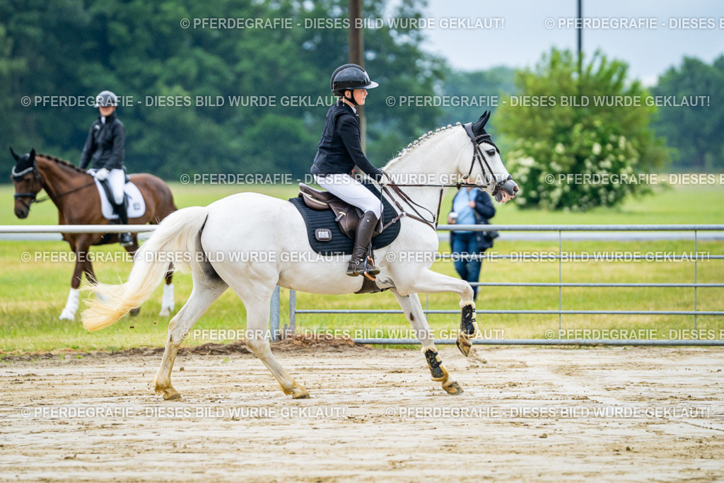 DSC01765 | Pferdegrafie