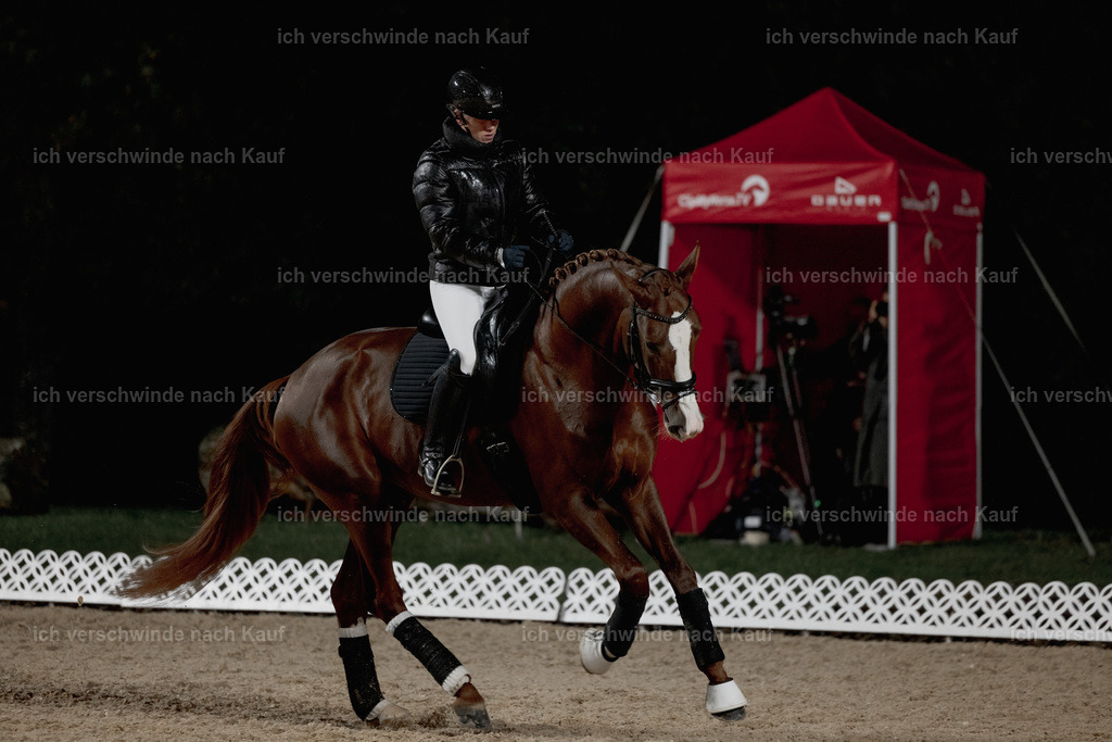 FHClassics-15 | working equitationturnier fotograf videograf stoibphotography marixx film working equitation deutschland reitsport turnierfotografie eventfotografie equestrian events