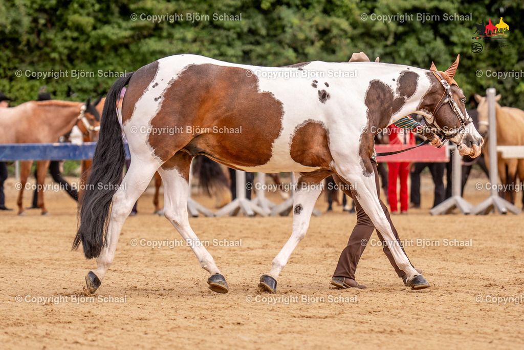 LMS06646 | BS-foto