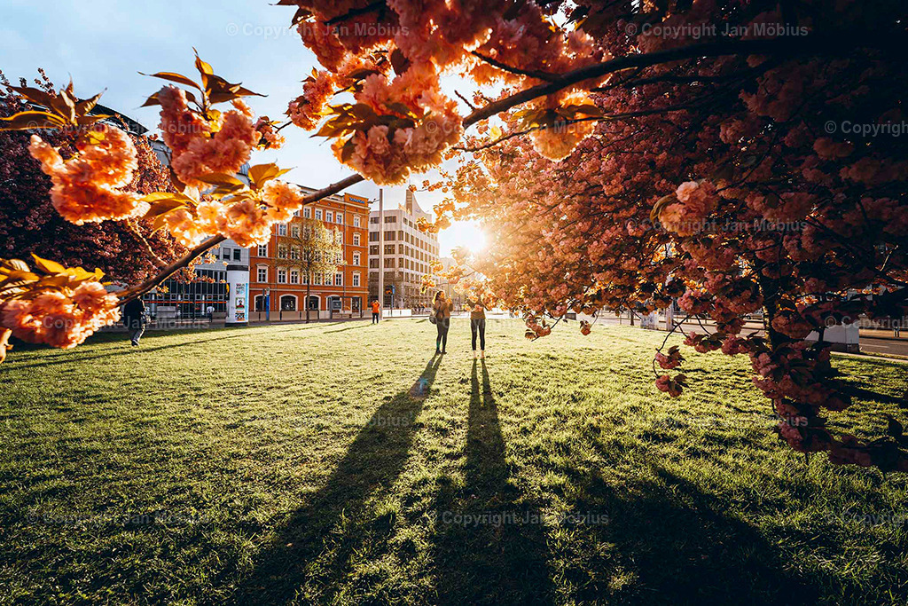 _DSC6762 | Leipzig Wandbilder Drucke Prints Leinwand Stadtmotive Leipzig Fotosdruck Kunstdrucke Bilder Leipzig Stadtansichten Acrylglasbilder Leipzig Wanddeko Fine Art Prints Wandbilder Büro Leipzig Bilder Praxis Zuhause Bilderdruck Poster Posterlounge Kunstdrucke - Realisiert mit Pictrs.com