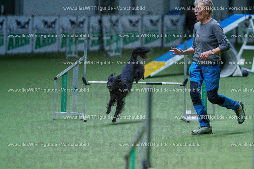 @allesWIRTHgut_Tierfotografie - www.allesWIRTHgut.de - 2604251237-7R502287 | Professionelle Tierfotografie in Mönchengladbach von Daniel Wirth (allesWIRTHgut). Liebevolle & natürliche Bilder von Hunden & Katzen für unvergessliche Erinnerungen.
