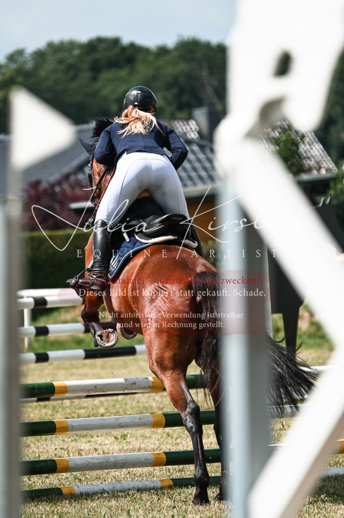 DSC_9337 | Pferde- und Turnierfotografie in Westsachsen. Pferdeportraits, Auftragszeichnungen und intuitive Kunst.
