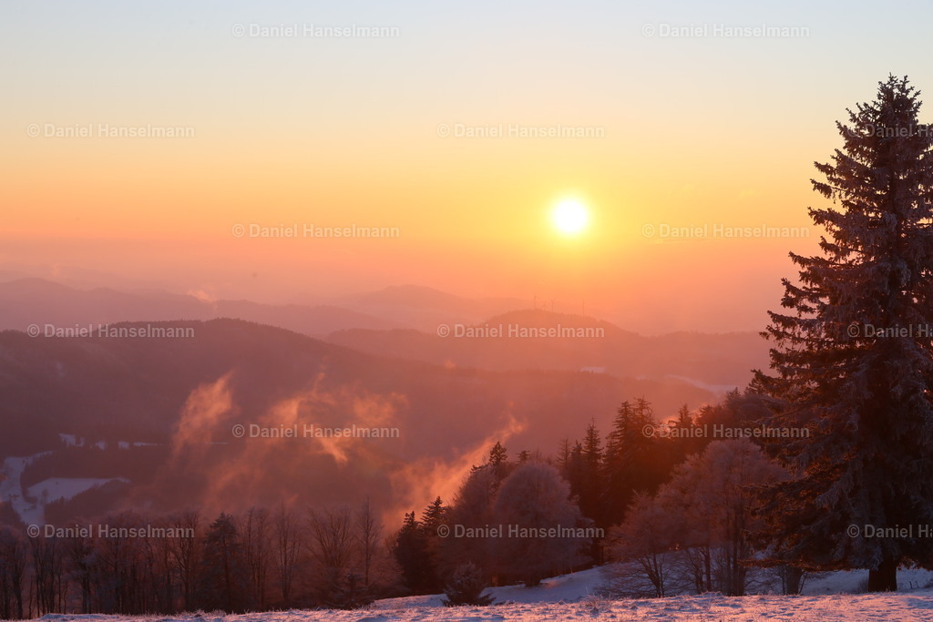 162A3935 | Hier finden Sie Poster, Leinwandfotos sowie viele weitere Fotoprodukte mit Motiven aus dem Schwarzwald, aus Freiburg und dem Kaiserstuhl zum Download und zum Bestellen.  - Realisiert mit Pictrs.com