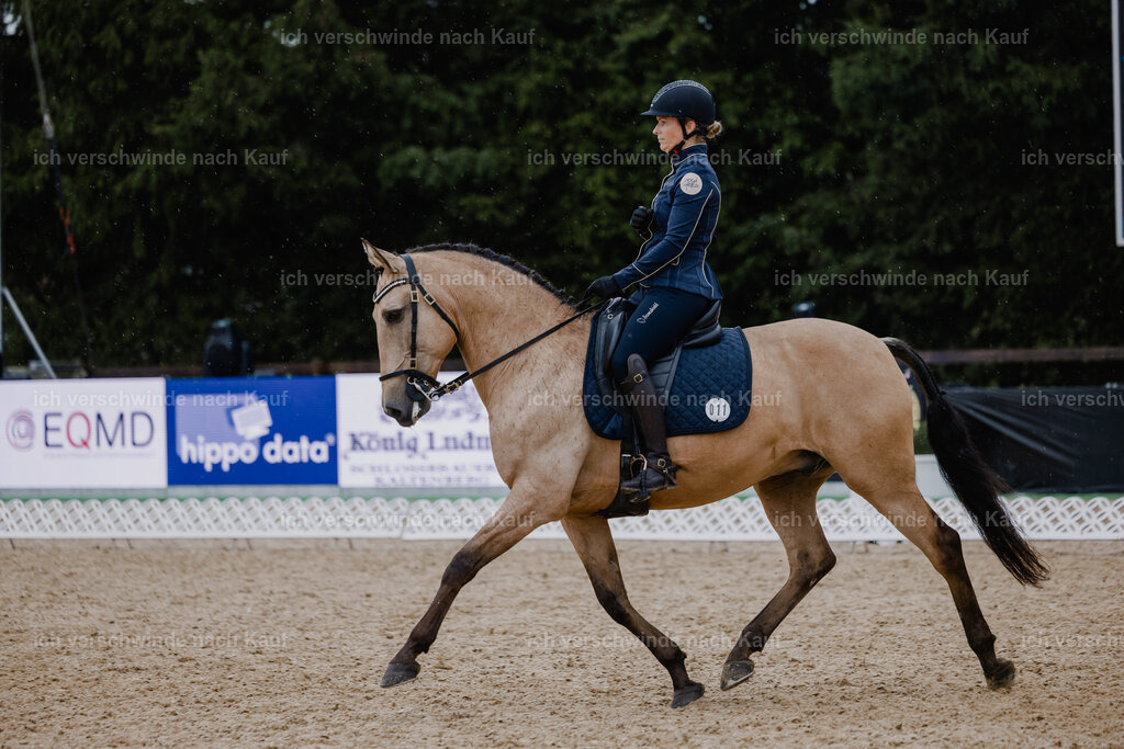 Diana11_FHC2025-25034 | working equitationturnier fotograf videograf stoibphotography marixx film working equitation deutschland reitsport turnierfotografie eventfotografie equestrian events
