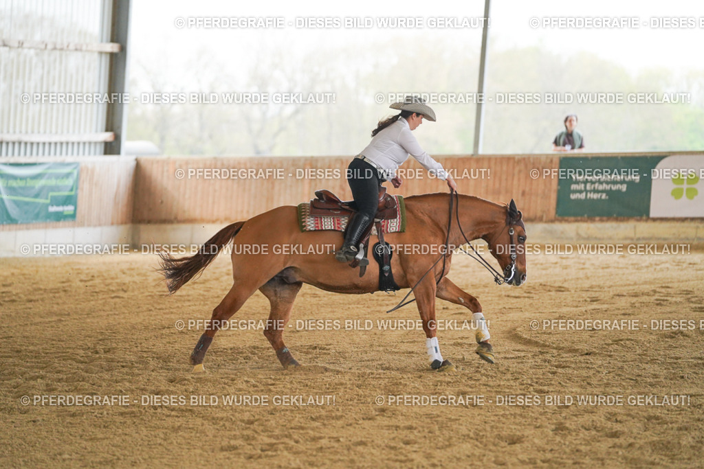 DSC08249 | Pferdegrafie