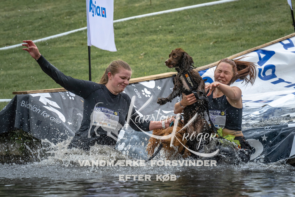 1523_ZZ94539 | kk-dogfotos