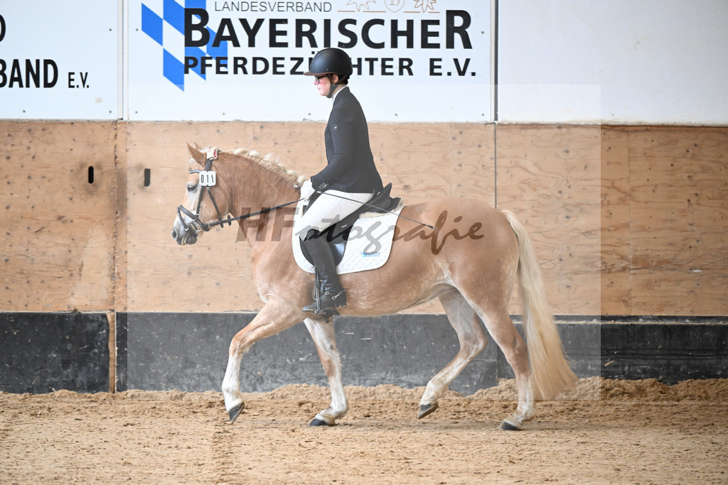 Kat-Nr. 11 Onatah v. Schampus_Demmler_50250073 | hf-fotografie - Realisiert mit Pictrs.com