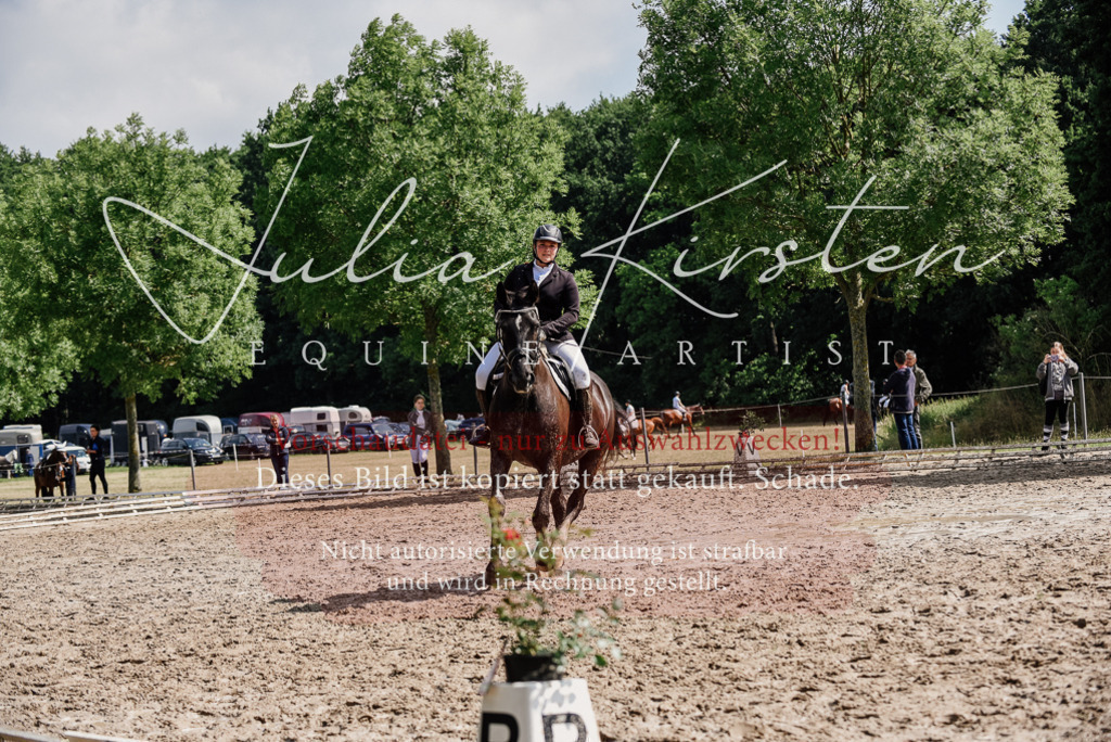 DSC_0218 | Pferde- und Turnierfotografie in Westsachsen. Pferdeportraits, Auftragszeichnungen und intuitive Kunst.