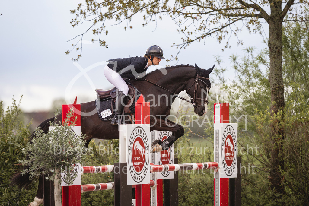 240424_Lemwerder_Stil-M-136 | Deine schönsten Turniermomente als professionelle Fotos! Entdecke hochwertige Pferdesport-Fotografie im Online-Shop. Jetzt Fotos finden & bestellen!