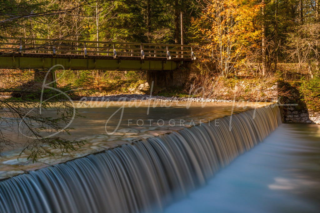 Traun Fuchsau_20141102_1332390004 | Baumgartner Markus Fotografie
