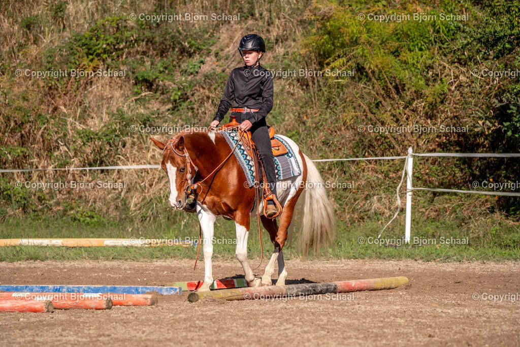 SAL02631 | BS-foto