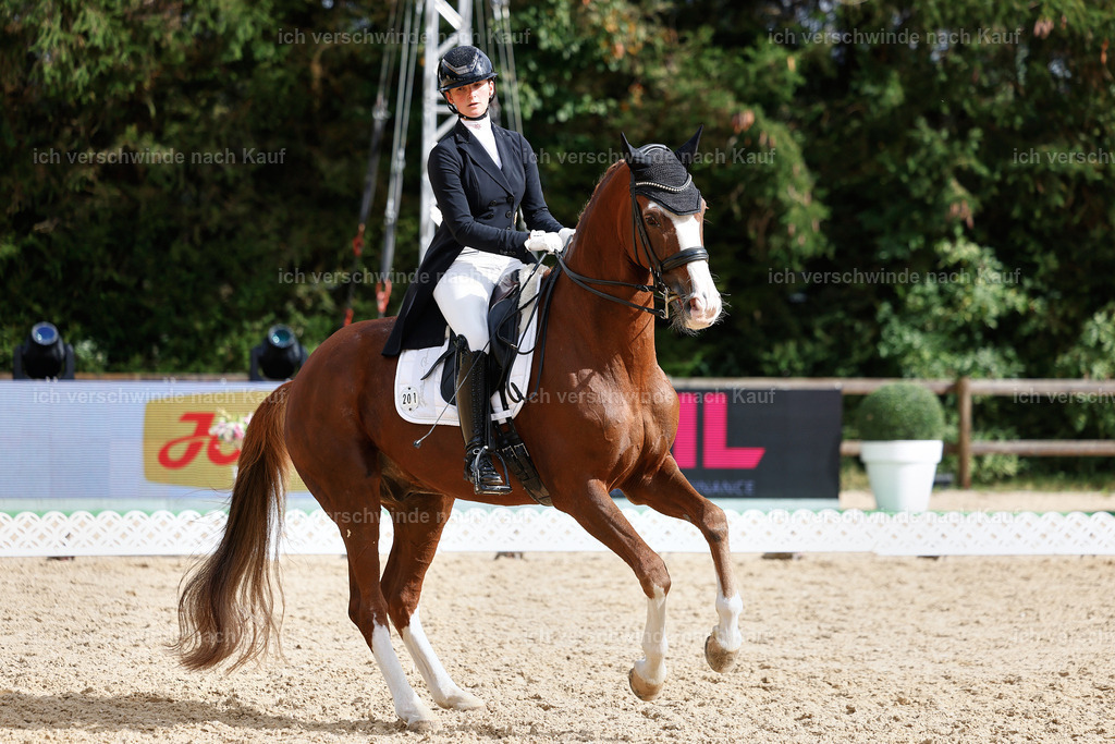 07-201-DRESSUR  S___  -StoibPH-5082 | working equitationturnier fotograf videograf stoibphotography marixx film working equitation deutschland reitsport turnierfotografie eventfotografie equestrian events
