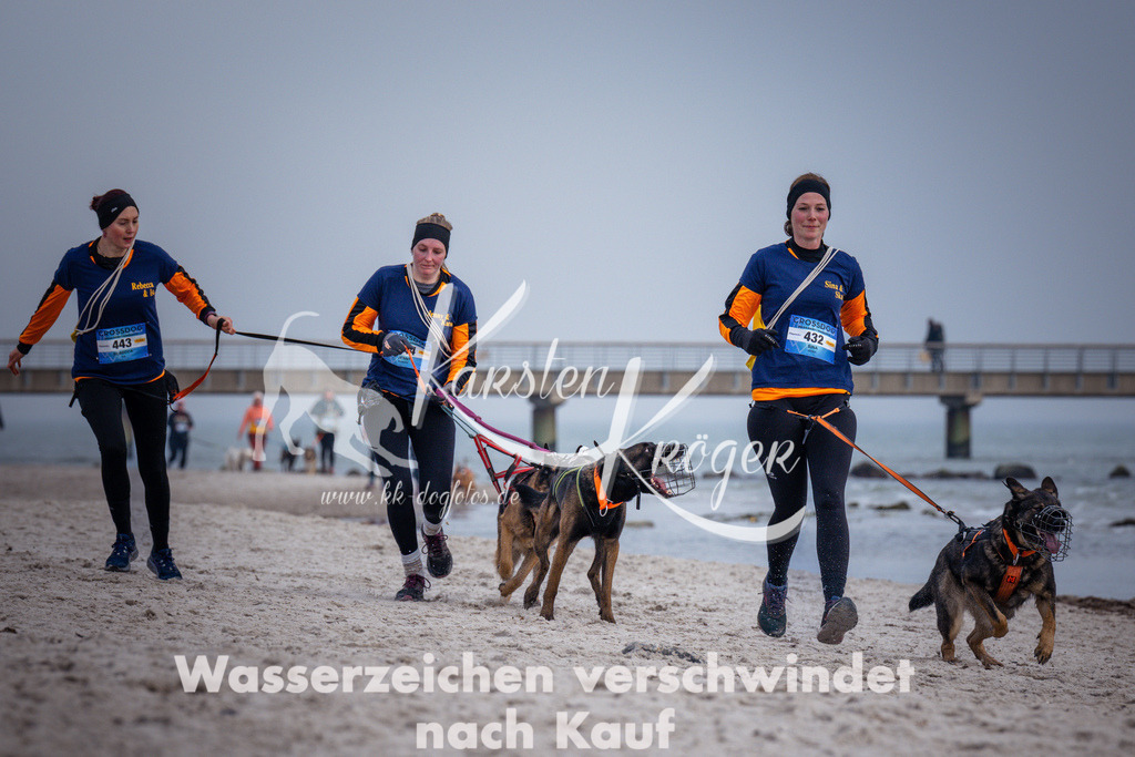 1258_ZZ97351 | kk-dogfotos