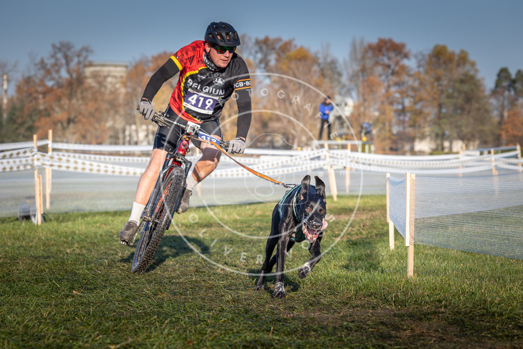 CaniXpix_0L8A4134 | Hundefotografie, Tierfotograf, Pfotenfotografie, Fotoshooting Hund, Hunde Portrait, Hundesport, Hundeportraits, Heideshooting, Hunde, Sportfotograf, Hundefotograf, Turnierhundsport, THS,  - Realisiert mit Pictrs.com