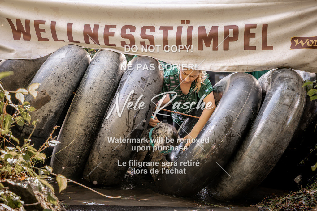 nelerasche_Hunsrück2026_Sa1400-1500_422 | nelerasche