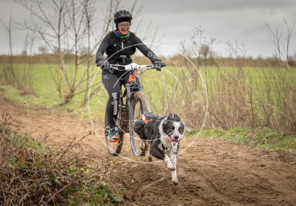 DV3A1126 | Hundefotografie, Tierfotograf, Pfotenfotografie, Fotoshooting Hund, Hunde Portrait, Hundesport, Hundeportraits, Heideshooting, Hunde, Sportfotograf, Hundefotograf, Turnierhundsport, THS,  - Realisiert mit Pictrs.com
