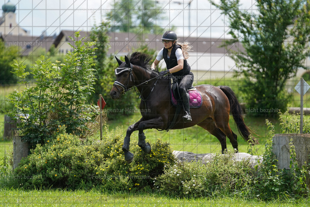 20240622-FAH07473 | Turnierfotografen Bayern, Reitsportbilder aus dem Geländekurs mit Felix Etzel auf dem Gut Waitzacker 2024