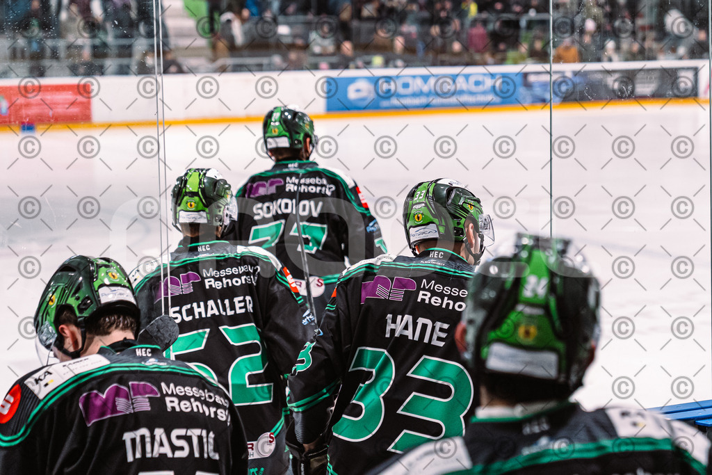 Alligators_vs_Deggendorf_23_01_2026-29 | Höchstadt Alligators Fotogalerie: Eishockey-Action aus Franken. Professionelle Spielfotos, Portraits & Stadionbilder zum Download. Jetzt entdecken! - Realisiert mit Pictrs.com