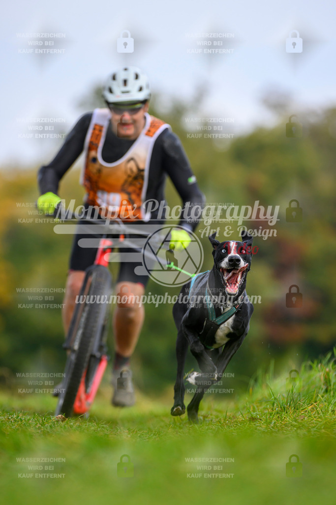 MompixPhotography_CDLBDB2025_DI_DS-52 | PayLife