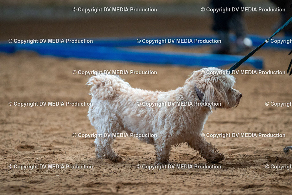 Neckargemünd Tag 2-02 | dv-media-shop - Realisiert mit Pictrs.com