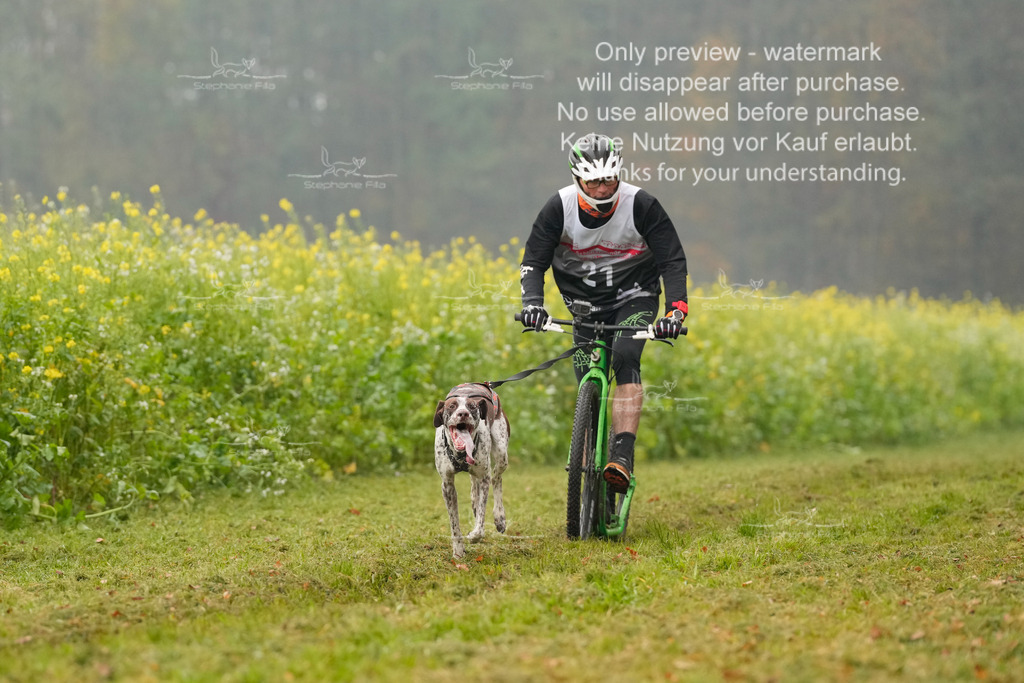 Visbeck_Sa_Scooter_Hc-22 | stephaniefillaphotographie - Realisiert mit Pictrs.com