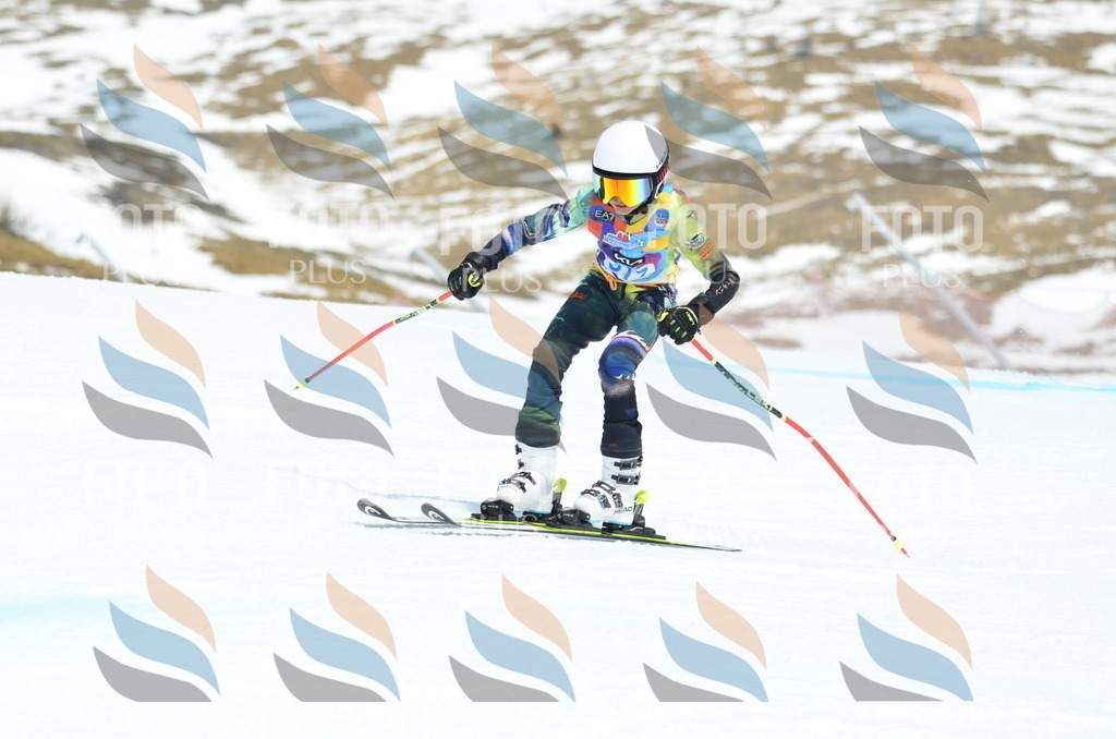 _ELE2412 | holidayphoto