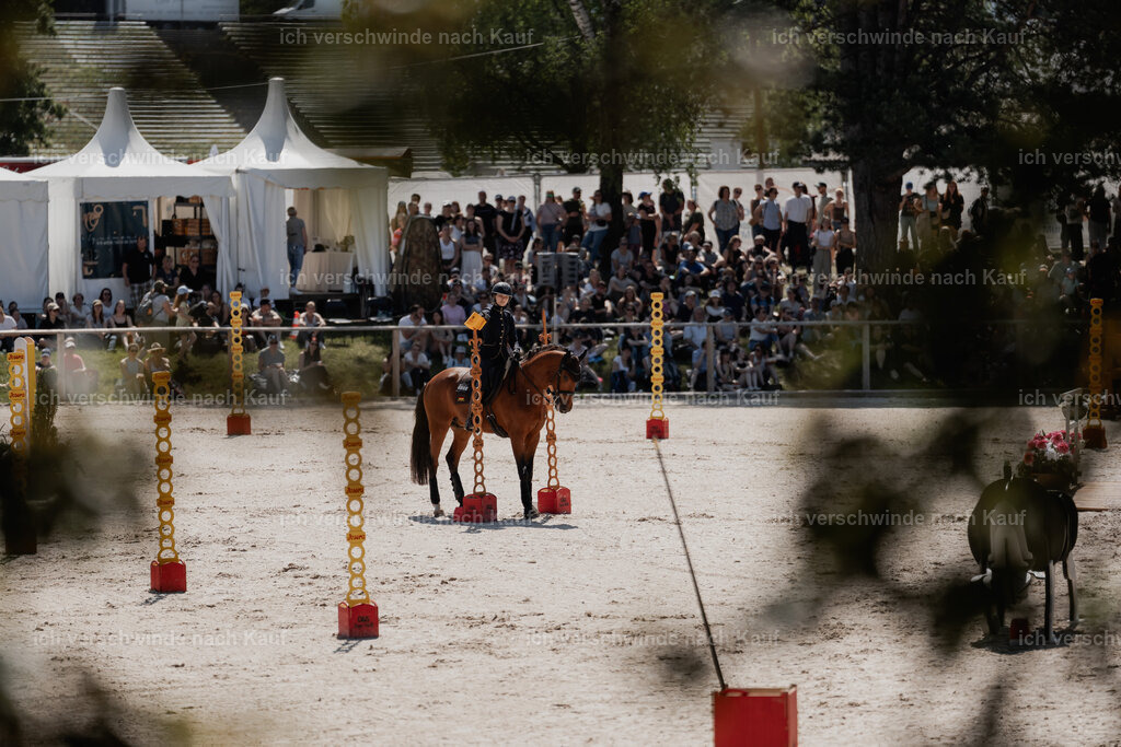 7C_03576 | Pferd International München 2025