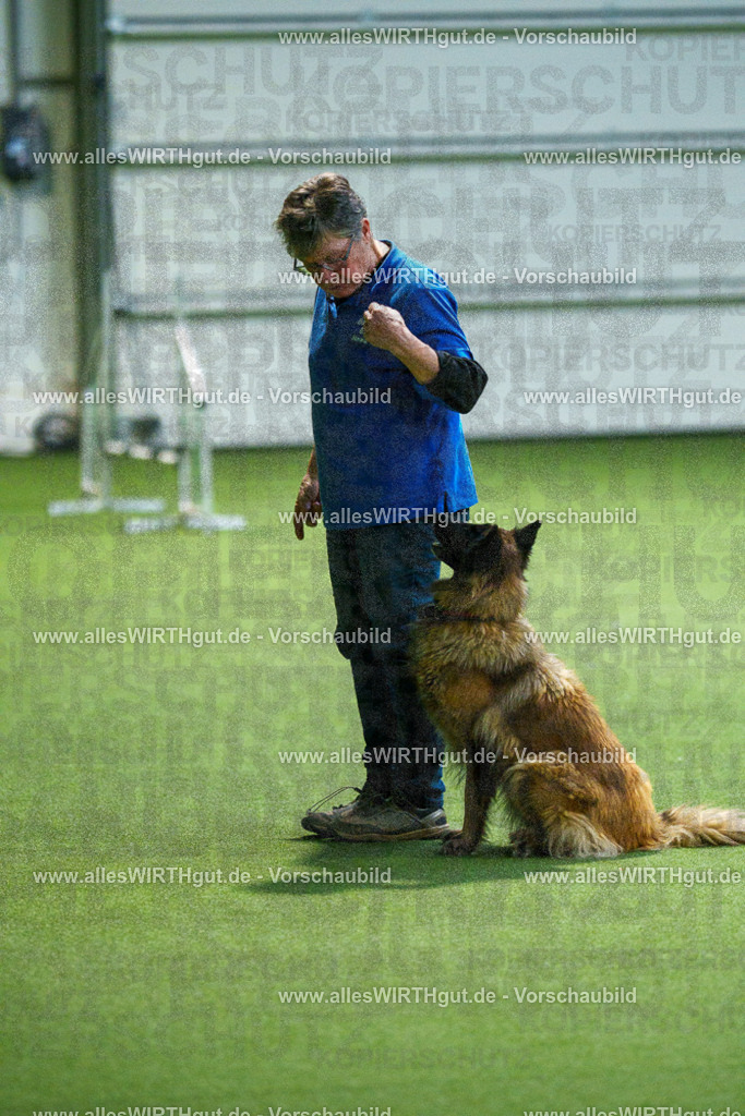 7R507919 | Professionelle Tierfotografie in Mönchengladbach von Daniel Wirth (allesWIRTHgut). Liebevolle & natürliche Bilder von Hunden & Katzen für unvergessliche Erinnerungen.