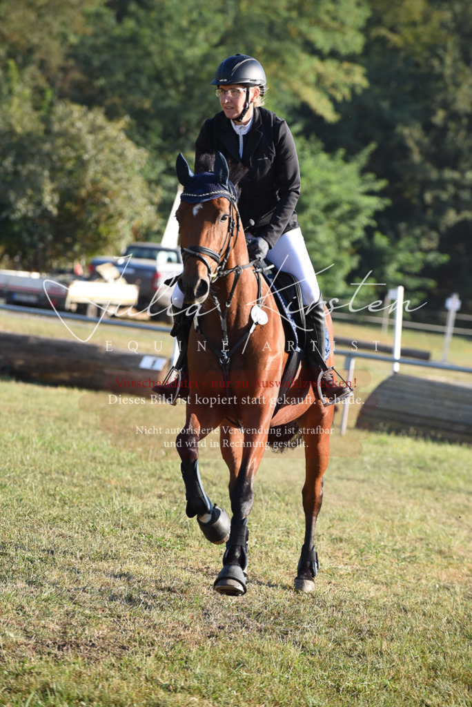 DSC_4980 | Pferde- und Turnierfotografie in Westsachsen. Pferdeportraits, Auftragszeichnungen und intuitive Kunst.