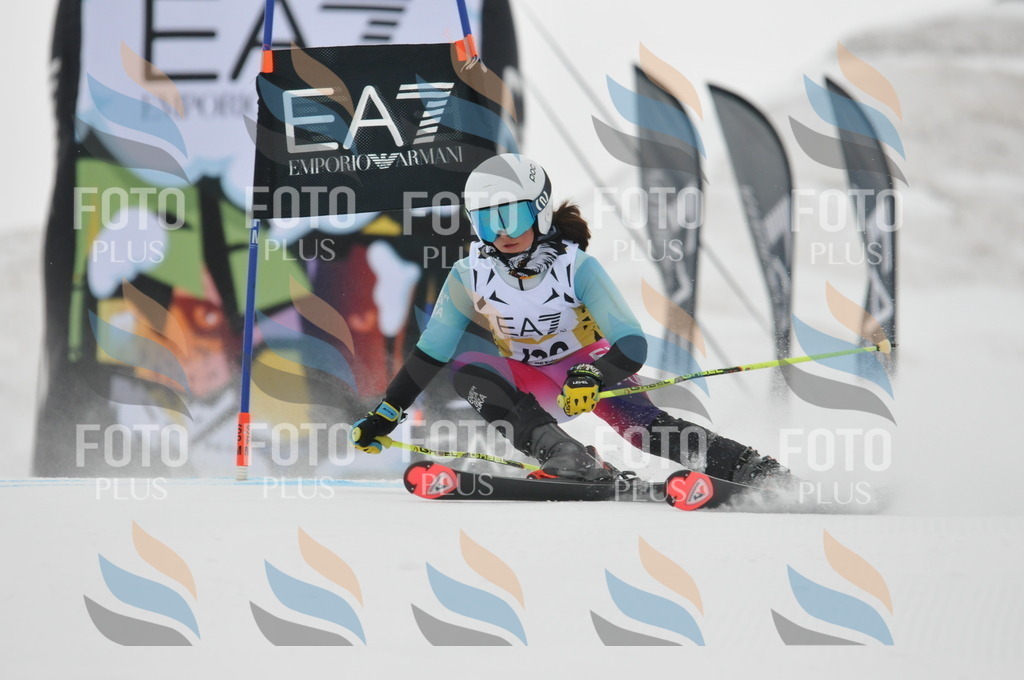 DSC_8286 | holidayphoto