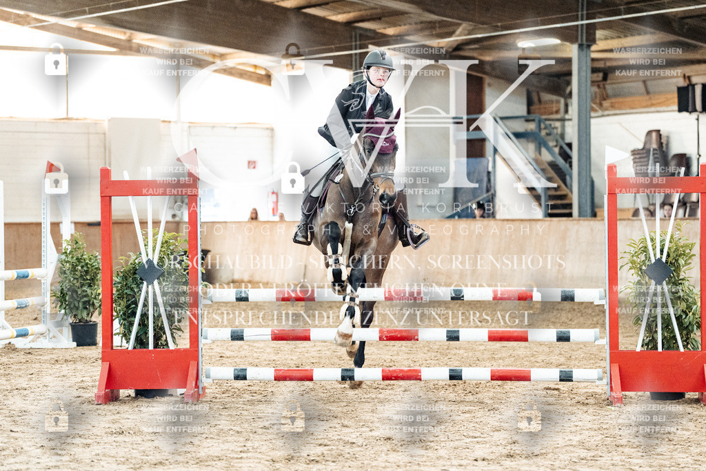 CK904229 | Turnierfotografie Pferdefotografie Trier Rheinland-Pfalz Pferdesport Reitsport Tierfotografie Sportfotografie Pferdevideo Pferdevideografie Equestrianvideography equestrianphotography  - Realisiert mit Pictrs.com