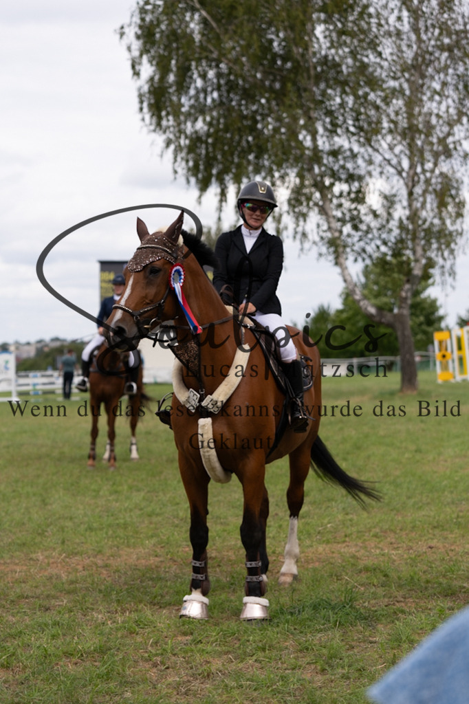 A7V05969 | Pferdefotograf