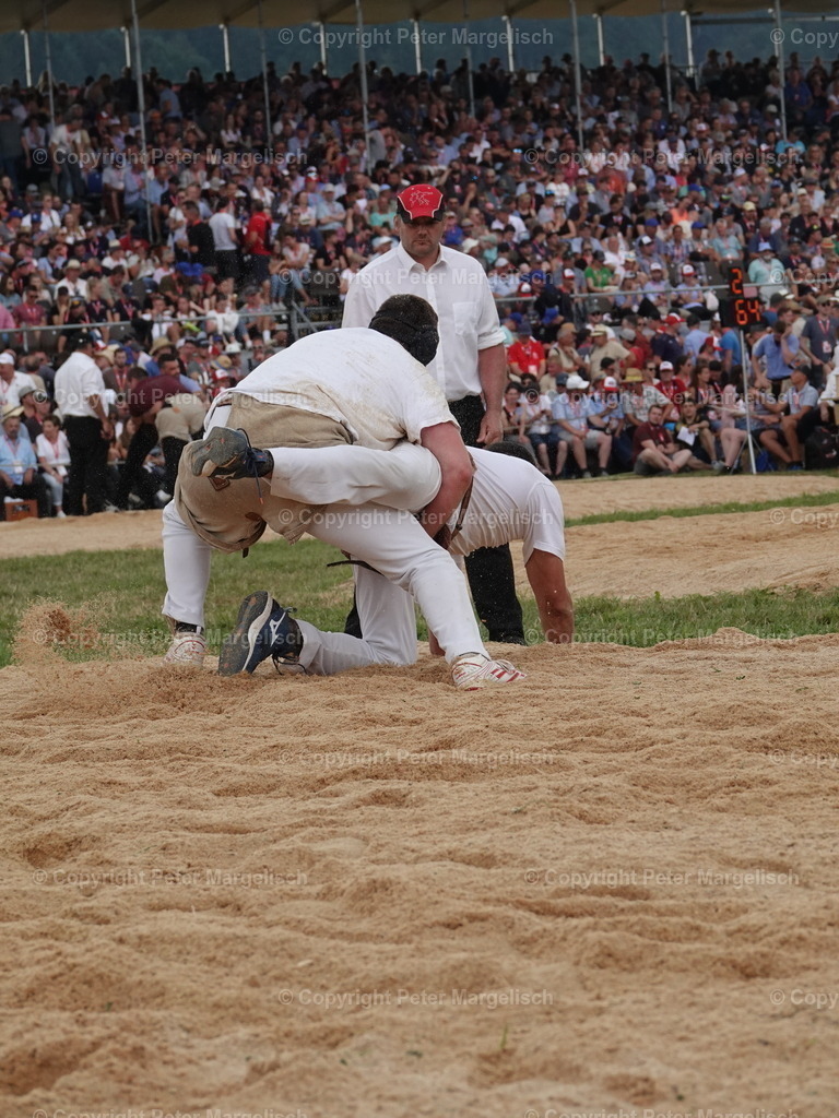 DSC05055 | Schwingen - Realisiert mit Pictrs.com