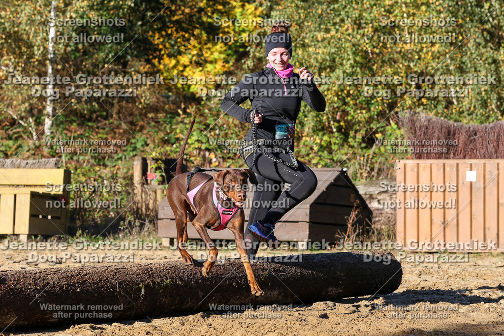 Dog Paparazzi - Strongdog 10-25-1435 | Dog Paparazzi Jeanette Grottendiek Fotografie & Videografie - Realisiert mit Pictrs.com