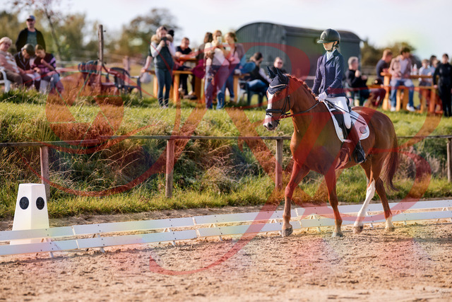 2026_10_03_Siefer-Hof_123410_Z81_31785319 | Professionelle Reitsport-, Turnier- und Eventfotografie von Robert Broda. Galerien mit ausgewählten und bearbeiteten Bildern direkt online ansehen und bestellen.