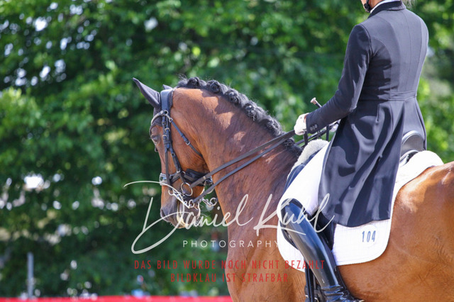 DKP41395 | Deine Turnierfotos vom Reitturnier online kaufen: Dressur, Springen & Siegerehrung. Professionelle Pferdefotografie aus dem Rheinland – als Download & Print.Alternative: Turnierfotograf für den Pferdesport: Finde deine Fotos von Dressur- und Springturnier