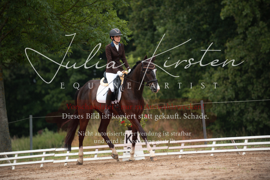 DSC_9738 | Pferde- und Turnierfotografie in Westsachsen. Pferdeportraits, Auftragszeichnungen und intuitive Kunst.
