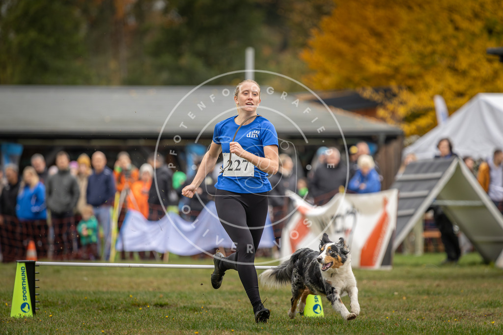 Pfotenfotografie_DV3A3222 | Hundefotografie, Tierfotograf, Pfotenfotografie, Fotoshooting Hund, Hunde Portrait, Hundesport, Hundeportraits, Heideshooting, Hunde, Sportfotograf, Hundefotograf, Turnierhundsport, THS,  - Realisiert mit Pictrs.com
