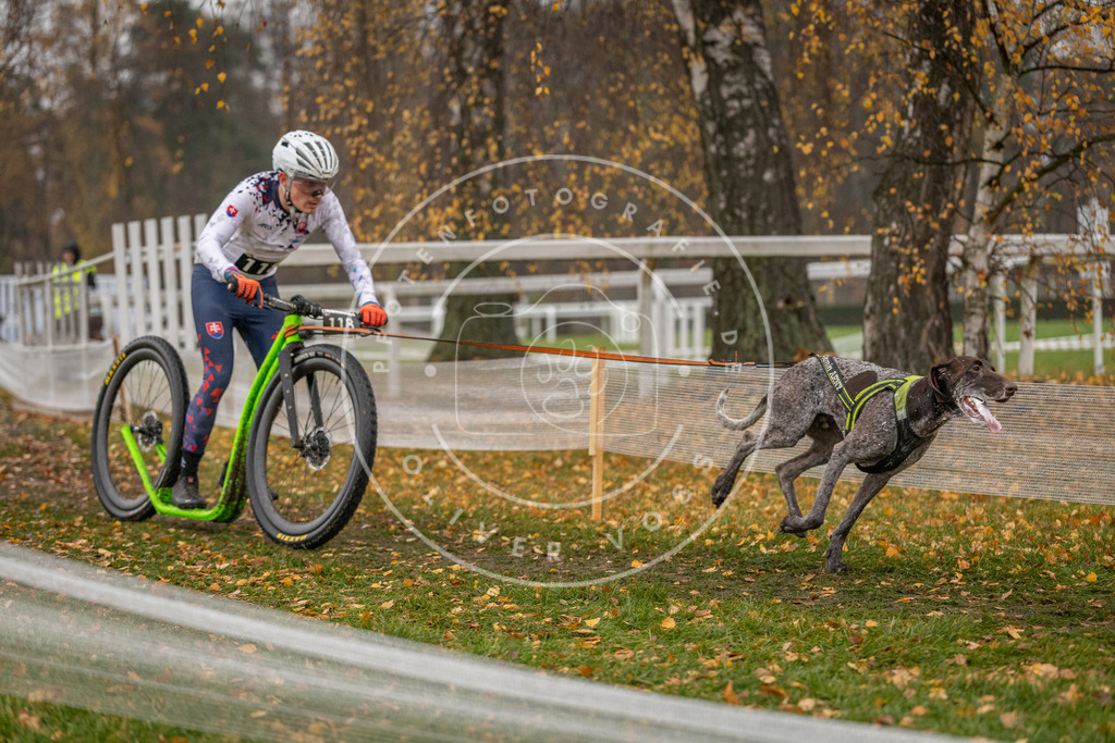 CaniXpix_DV3A7763 | Hundefotografie, Tierfotograf, Pfotenfotografie, Fotoshooting Hund, Hunde Portrait, Hundesport, Hundeportraits, Heideshooting, Hunde, Sportfotograf, Hundefotograf, Turnierhundsport, THS,  - Realisiert mit Pictrs.com