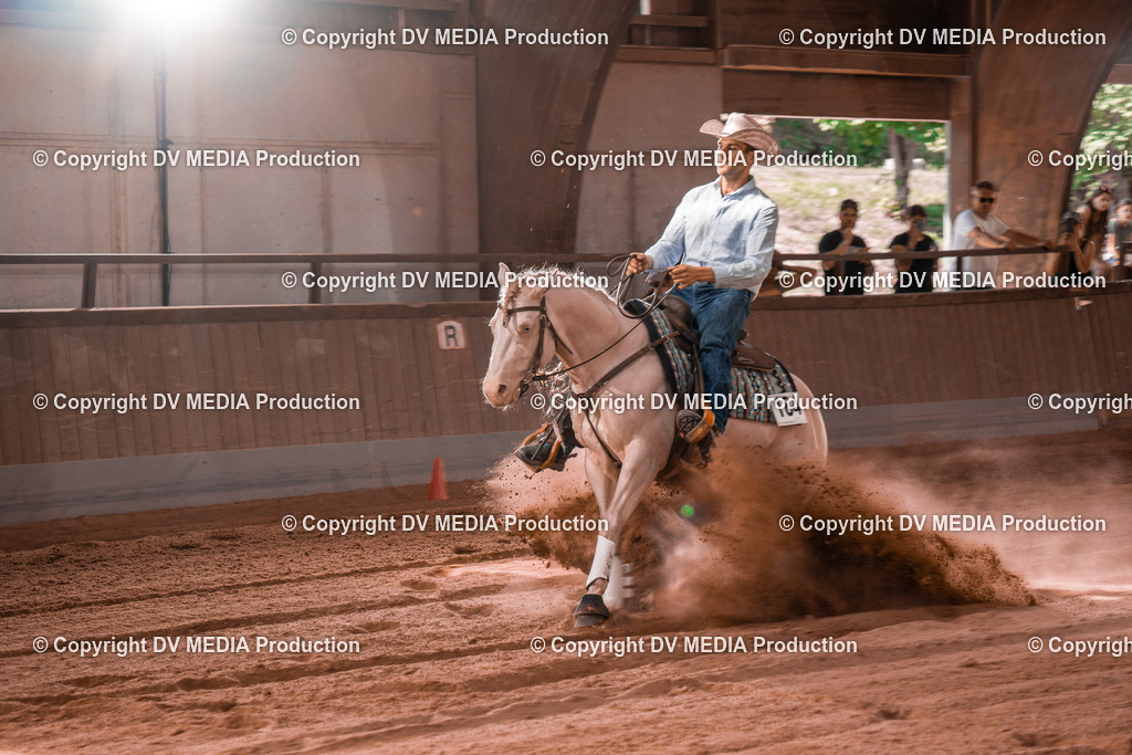 NE201024 | dv-media-shop - Realisiert mit Pictrs.com