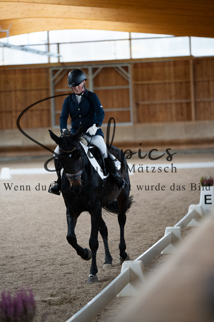 A7V02213 | Pferdefotograf