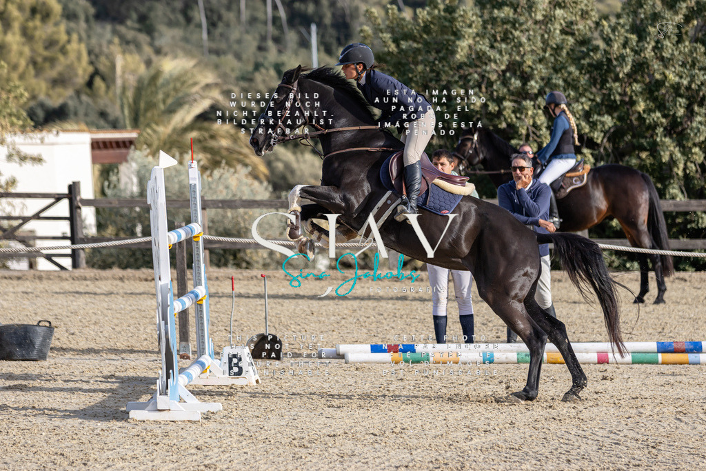 IMG_0495 | s-jay-photography - Realisiert mit Pictrs.com