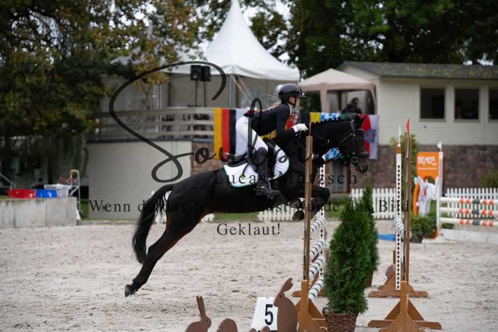 A7V08199 | Pferdefotograf