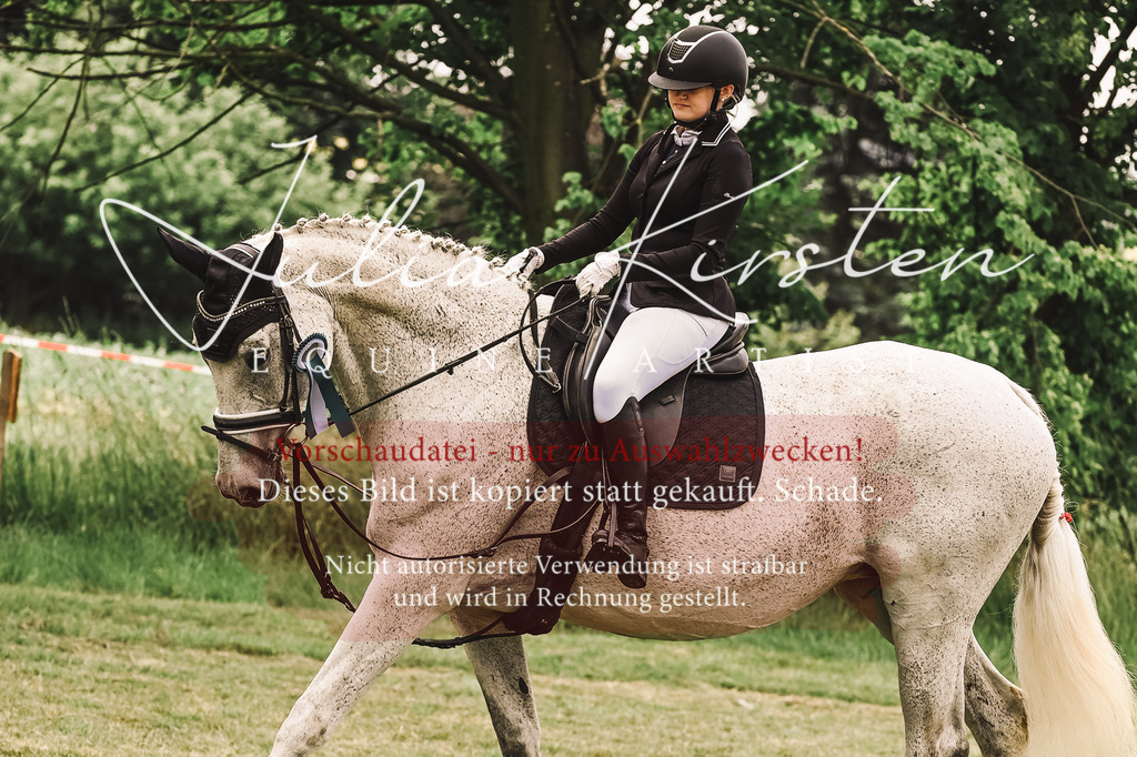 DSC_5191 | Pferde- und Turnierfotografie in Westsachsen. Pferdeportraits, Auftragszeichnungen und intuitive Kunst.