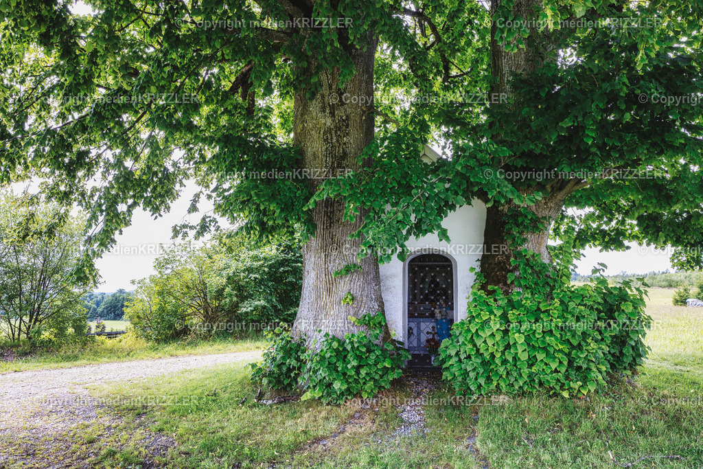 _J3A1838 | medienkrizzler - Realisiert mit Pictrs.com