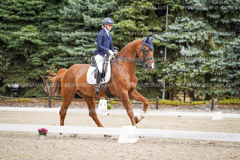 DSC02750 | Pferdegrafie